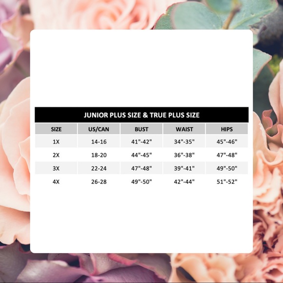 CLEARANCE! Mauve plus velvet dress - Picture 2 of 2